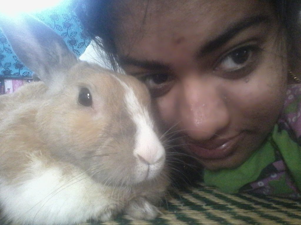 With pet rabbit