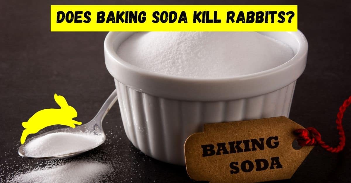 does baking soda kill rabbits