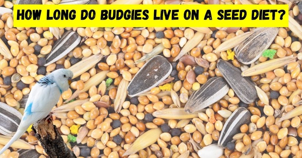 how long do budgies live on a seed diet