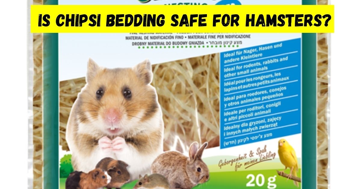 is chipsi bedding safe for hamsters