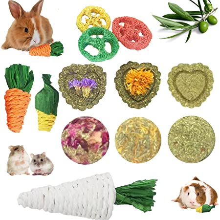 Chew toys for lionhead rabbits