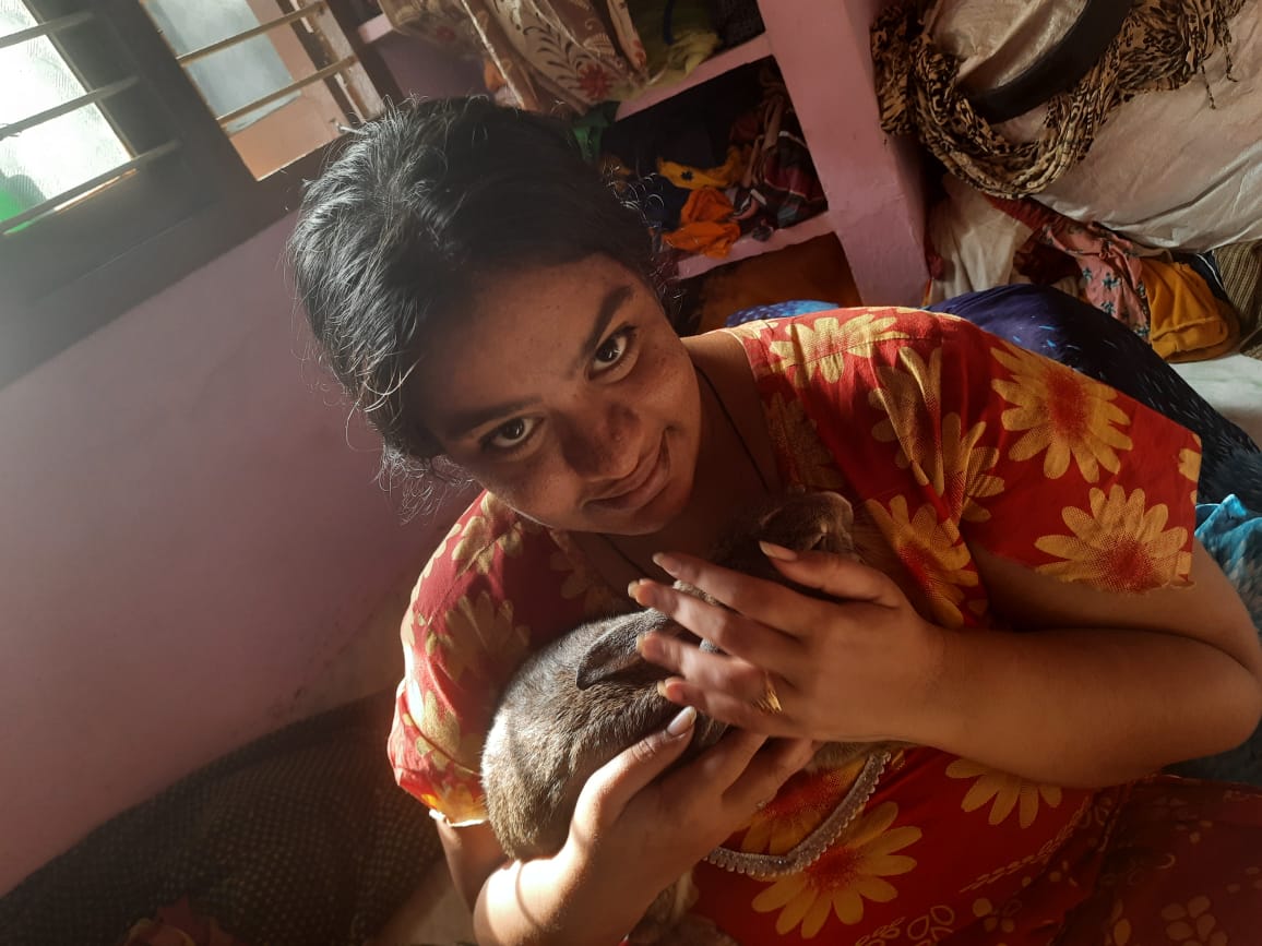 Do Rabbits Like Going On Walks? (Word Of Caution) Petsmond