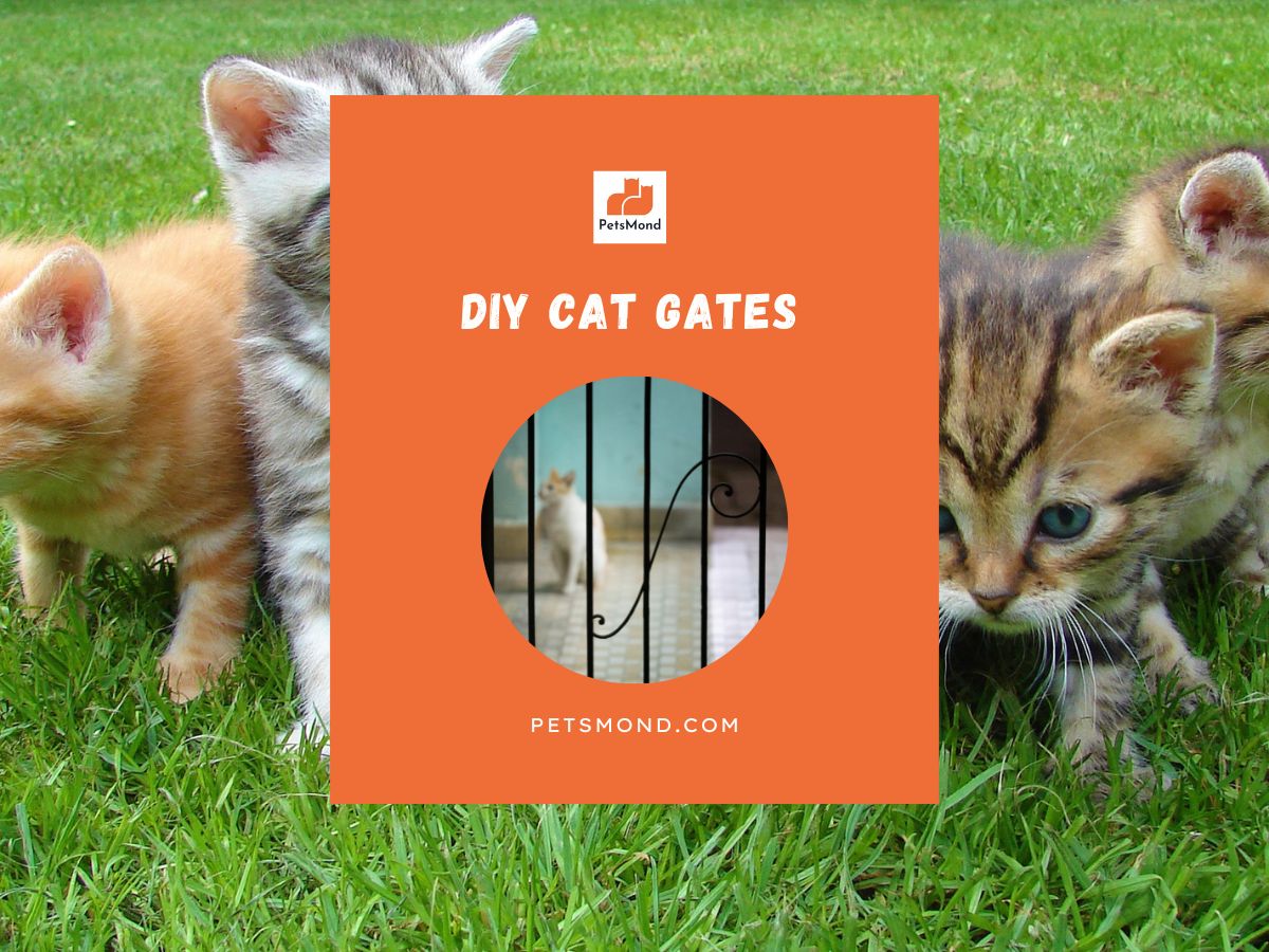 DIY Cat Gates