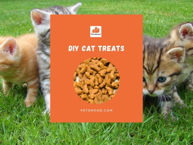 DIY Cat Treats