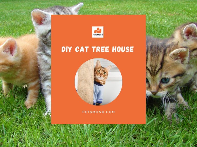 DIY Cat Tree House