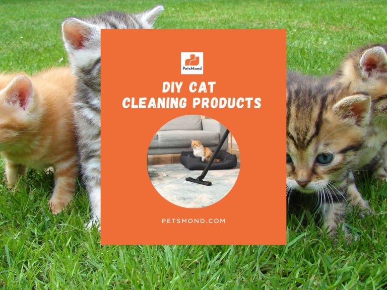 DIY Cat Cleaning Products