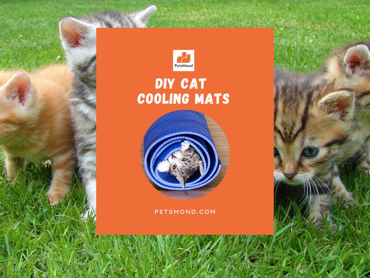 DIY Cat Cooling Mats