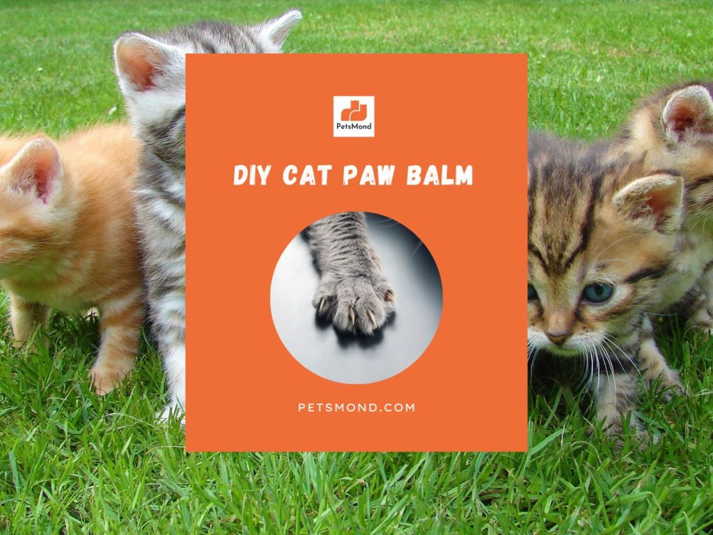 DIY Cat Paw Balm