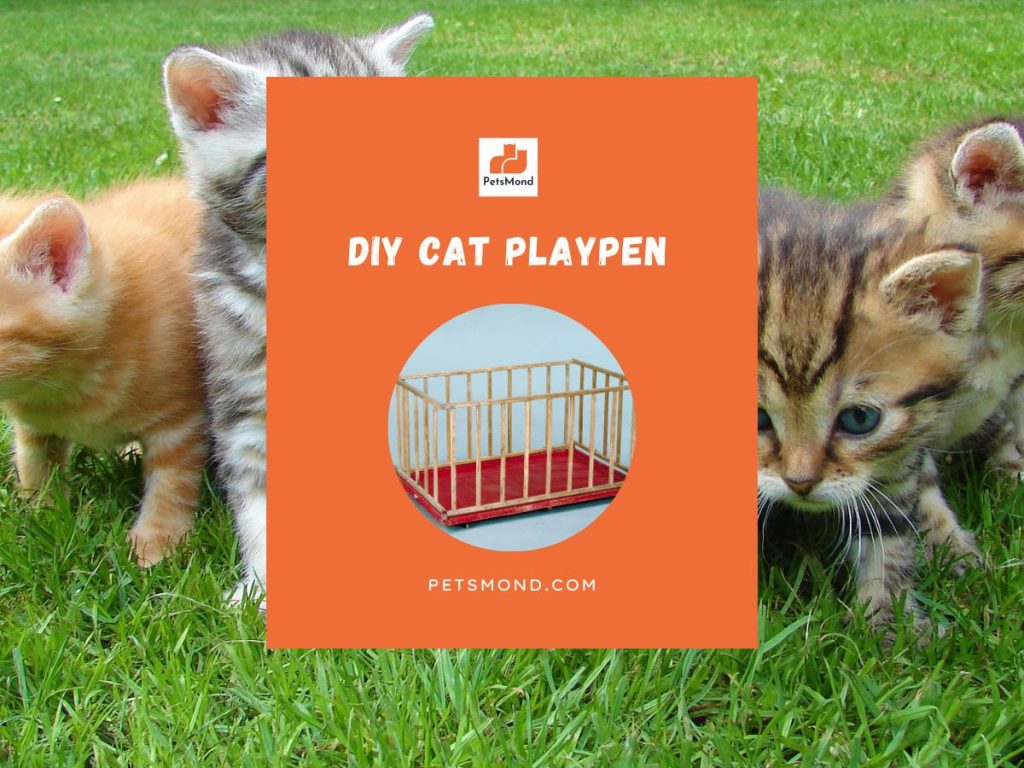 DIY Cat Playpen