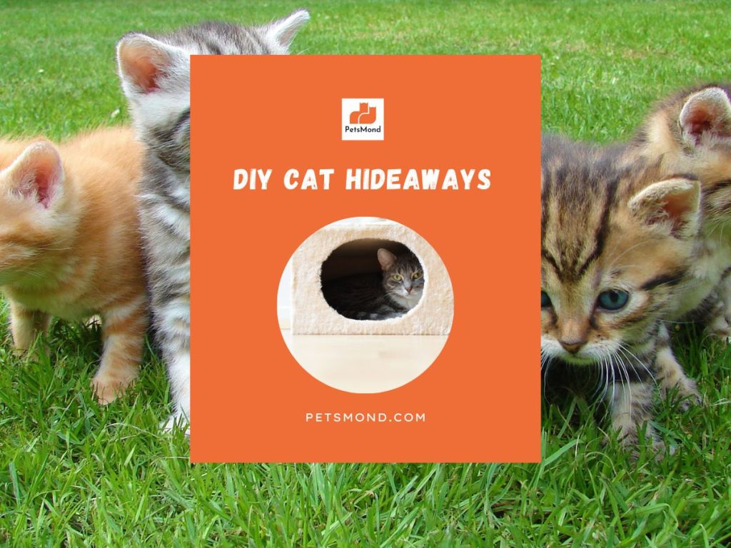 DIY Cat hideaways